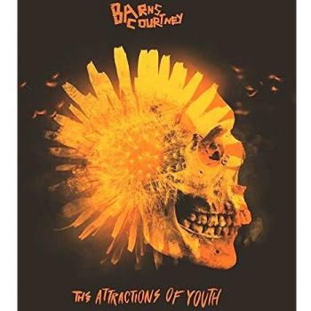The attractions of youth vinyl