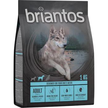 Briantos Adult Salmon and Potato Grain-Free Dry Dog Food - 4 x 1kg