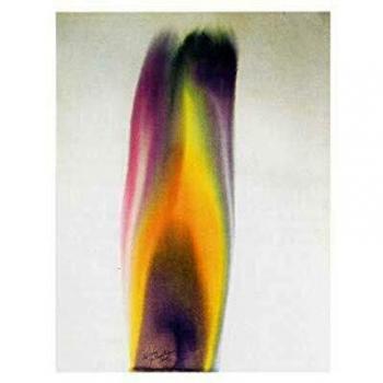 Chryptus vinyl vinilo