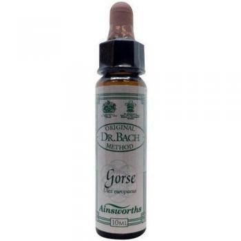 Gorse Bach Flower Essence 10ml - Ainsworths & Santiveri