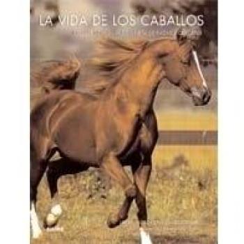 La vida de los caballos