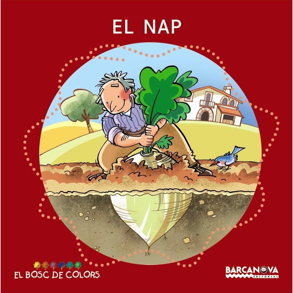 Imagen Principal