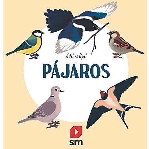 Imagen Principal