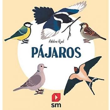 Pájaros