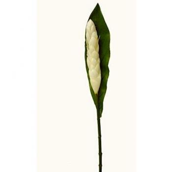 ARTIFICIAL FLOR INDIVIDUAL HOJA ALPINIA BLANCA