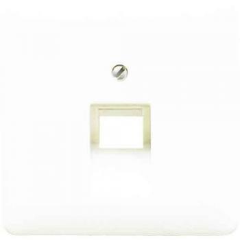 Placa Central para Toma Teléfono UAE 1x8P Gris JUNG