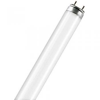 Osram FLUORA T8 - Lámpara fluorescente, G13L 30 W/77