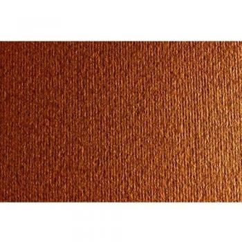 Fabriano F42450706 - Cartulina extra, 220 g, 50 x 70, color marrón