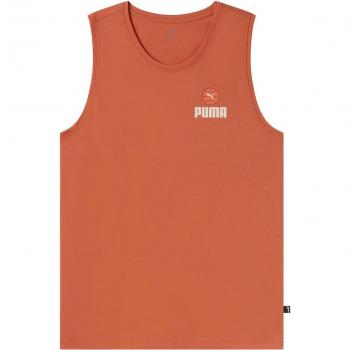 Camiseta Puma Basketball Court Graphic - SL Hombre Naranja