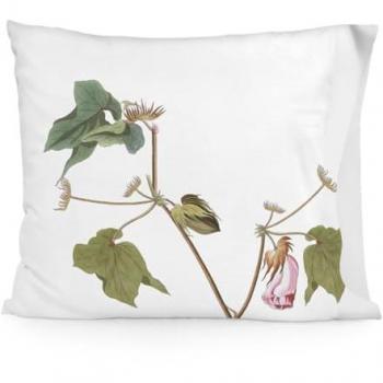 Funda de Almohada Multicolor Blooming 60 x 70 cm HappyFriday