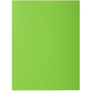 Exacompta 216013E - Subcarpetas con 2 solapas Rock''s - Verde