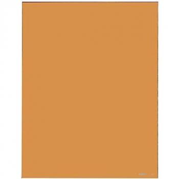 Cokin X027 Warm 81B Square Filter