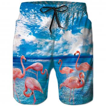 Goodstoworld Hombre Bañador Shorts 3D Playa Natacion Pantalon Corto Poliéster Secado Rápido Ligero Bermuda Moda Shorts