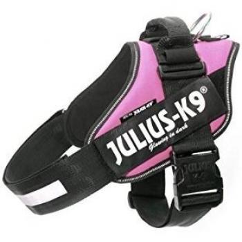 JULIUS-K9 16IDC Power Harness