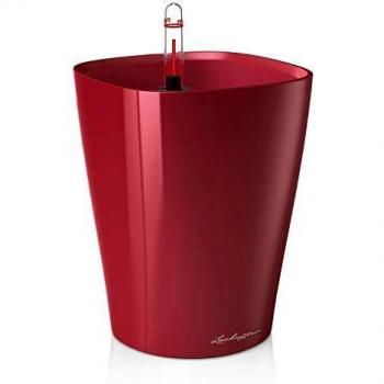 Lechuza Maceta Deltini Premium Kit Completo Rojo Escarlata Muy