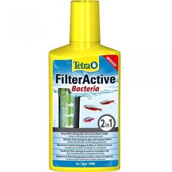 Tetra FilterActive 250 ml - Contiene bacterias iniciadoras vivas y bacterias limpiadoras reductoras de lodo