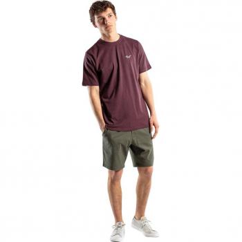 Pantalón Corto Reell Reflex Easy Short Olive