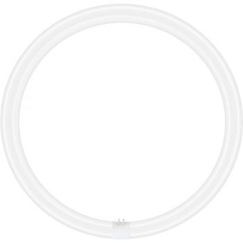 Tubo LED Circular T9 Ledvance 24W 2900lm Luz de Día 6500K G10q IP20 Reemplazo 40W