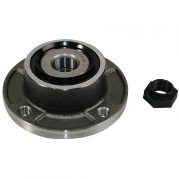 Juego de cojinete de rueda ABS 200153
