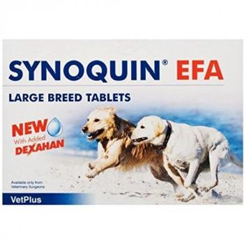 Synoquin Tasty Large Breed