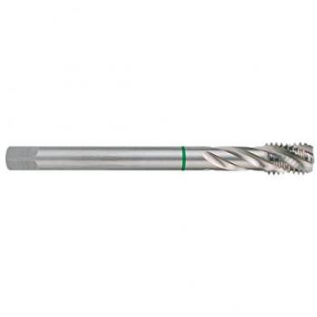 Macho de Roscar HSS-Co PS-376 12x1.75 M2D