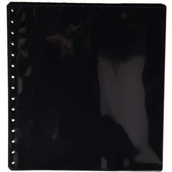 Pardo 100100 - Pack de 10 fundas transparente, 2 Alojamientos por hoja