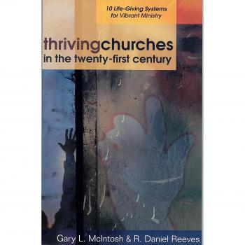 Thriving Churches in the Twenty-First Century: 10 Life-Giving Systems for Vibrant Ministry
