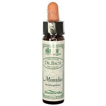 Mimulus Bach Flower Remedy 10ml - Ainsworths & Santiveri