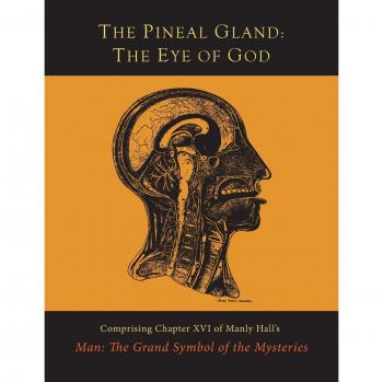 The Pineal Gland: The Eye of God