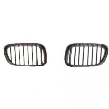 Rejilla delantera de radiador Van Wezel 0685512 Titanio para BMW X5 E53 (2000-2003)