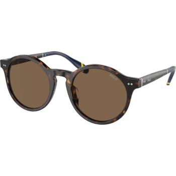 Polo Ralph Lauren PH4204U 500373 Men's Sunglasses Tortoiseshell Size 50