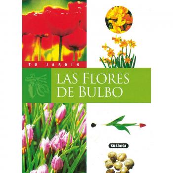 Flores de bulbo