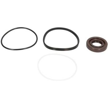 Bomba hidráulica de dirección DT Spare Parts 2.95120