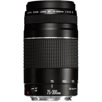 Canon EF 75-300mm f/4-5.6 III Objetivo para Canon