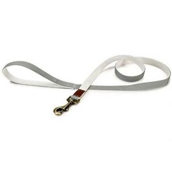 Beeztees K&Bz Dbl Nyl Leash Virante Mint 120X20 450 g