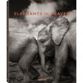 Elefantes en el Cielo - Fotografía Artística de Joachim Schmeisser