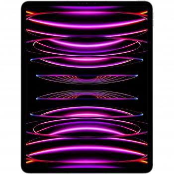 iPad Pro 12,9 512 GB MP223FD/A