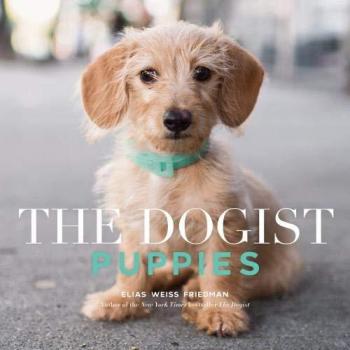 Dogist Puppies, The