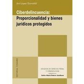 Ciberdelincuencia: proporcionalidad y bienes jurídicos protegidos