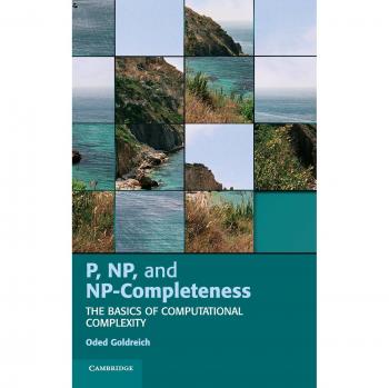 Libro de tapa dura sobre P, NP y NP-Completitud: Fundamentos de la Complejidad Computacional