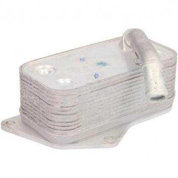 Enfriador de aceite THERMOTEC D4B004TT con características de alta eficiencia térmica, diseño compacto, compatible con múltiples marcas de vehículos y fabricado con materiales de calidad para una larga durabilidad