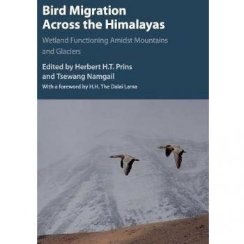 Bird Migration across the Himalayas: Wetland Functioning amidst Mountains and Glaciers