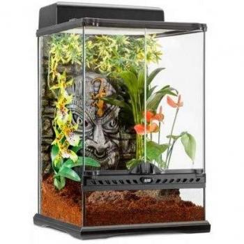 Exo Terra Terrario Tiki-Mini Tall, Multicolor, Small