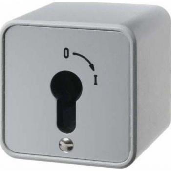 Berker 4466 Surface Mounted 2-Pole Key Switch - Gray