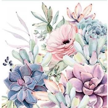 SERVILLETAS AMBIENTE 33x33cm 20 UD SUCULENTAS
