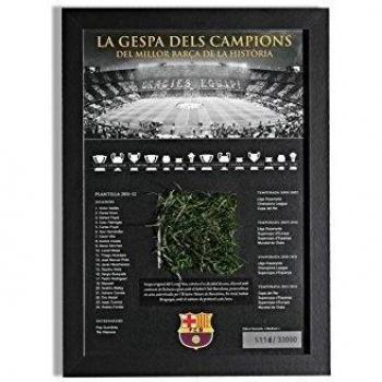 Césped Oficial del FC Barcelona, Temporada Pep Guardiola 2011-2012 - Cuadro