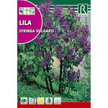 Semillas de Lila Syringa vulgaris