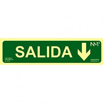 Normaluz NM RD12105 - Señal Luminiscente Salida Flecha Abajo Clase B PVC 0.7mm 10.5 x 42 cm con CTE, RIPCI y Apto para la Nueva Legislación, Verde
