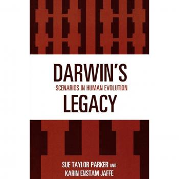 Darwin's Legacy: Scenarios in Human Evolution - African Archaeology Edition