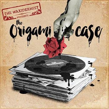 Vinyl Origami Case